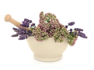 valerian herb