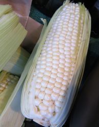 corn