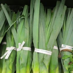 leeks