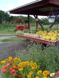 Hlubik's farmstand with watermelon, honeydew and canary melons