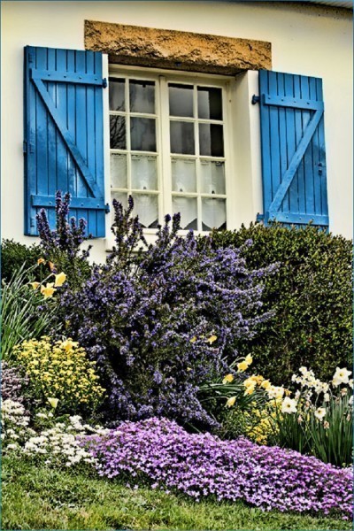 cottage-garden