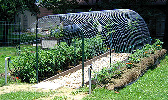 Rear corner view of arched trellis