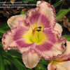 Thumbnail #3 of Hemerocallis  by Sherlock221