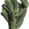 Thumbnail #5 of Cylindropuntia fulgida var. mammillata by Xenomorf