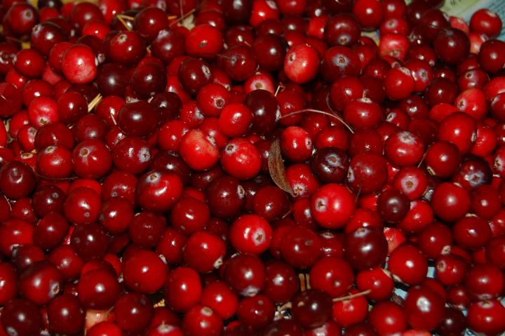 cranberries-957583_1920_full_width.jpg