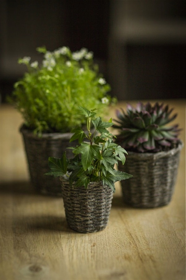 basketweave-concrete-pots-gardenista