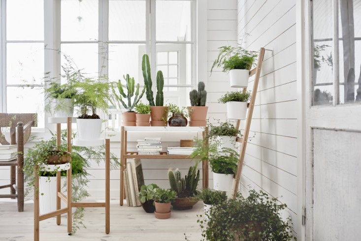 ikea-plant-stands-new-satsumas-gardenista