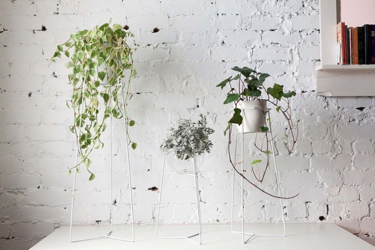 white-wire-plant-stands-2-gardenista