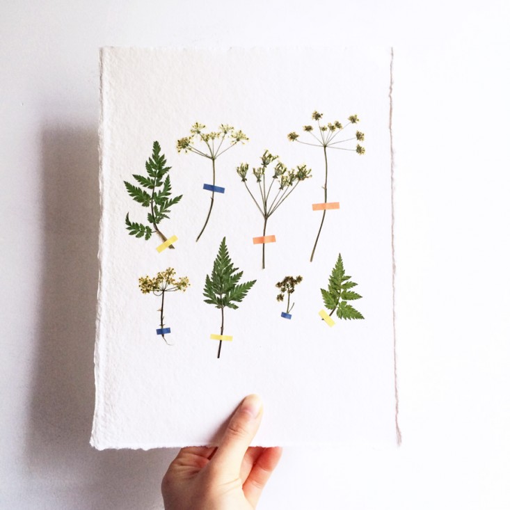 pressed-flower-artworks-8-mr-studio-london-gardenista