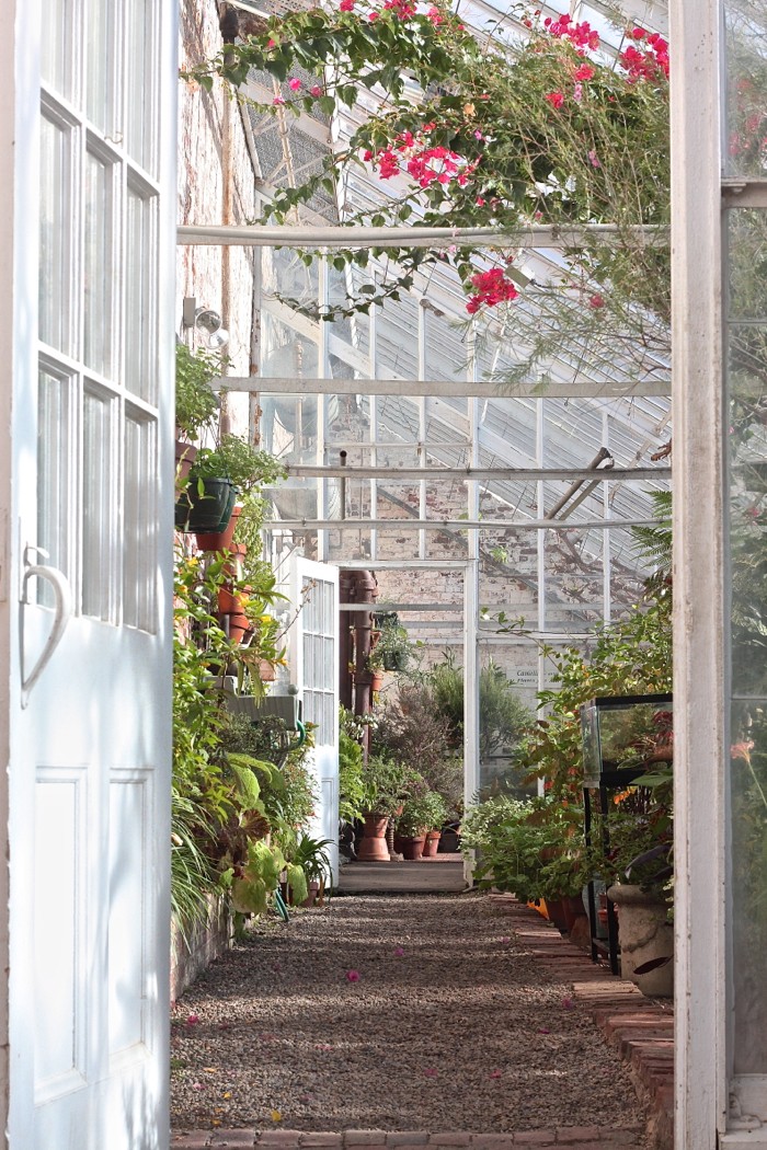 Lyman Estate Greenhouses, entrance citrus house 2