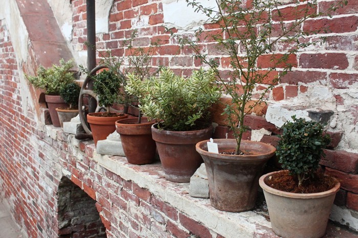 Lyman Estate Waltham MA, pots