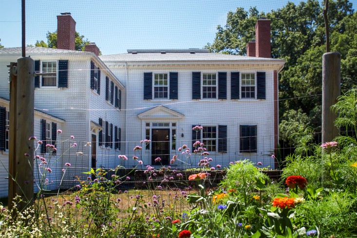 Concord Garden, zinnias, Gardenista