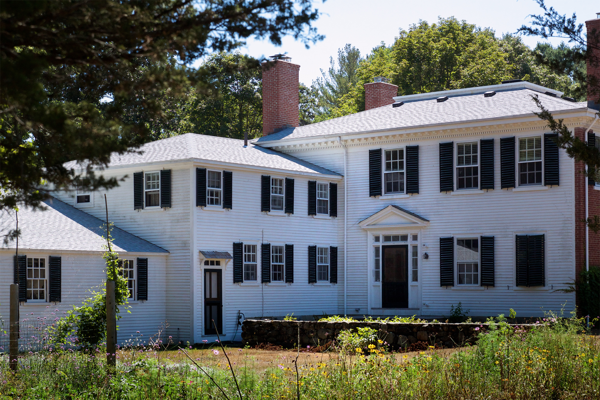 Concord Garden, view from woods, Gardenista