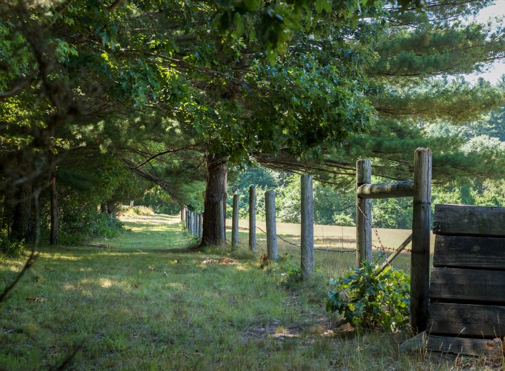 Concord Garden, field path, Gardenista