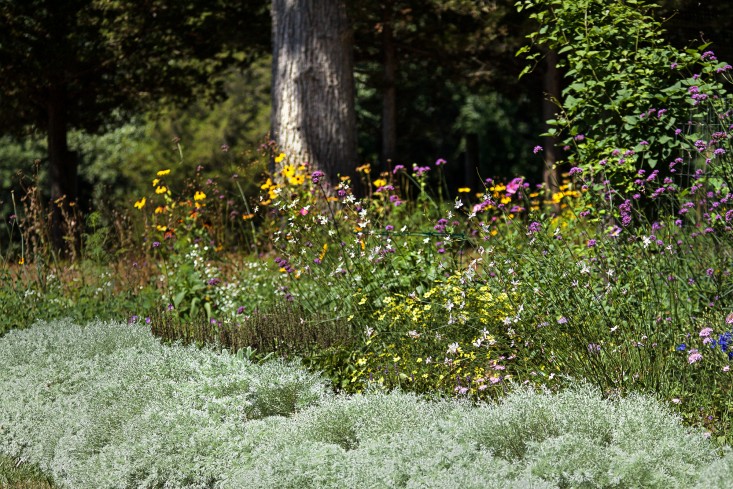 Concord garden perennial border, Gardenista