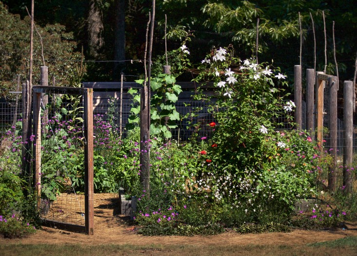 Concord Garden, Gardenista_edited-2