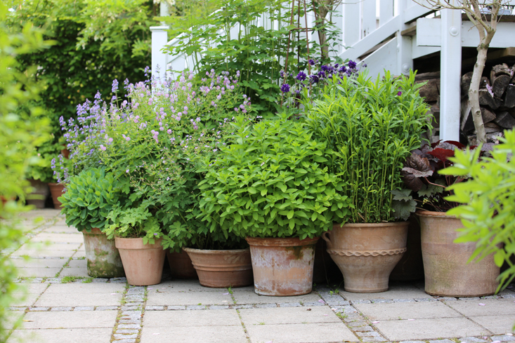 mette-krull-stair-view-gardenista