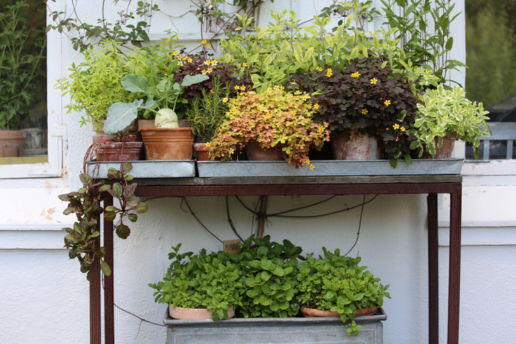 mette-krull-table-1-gardenista