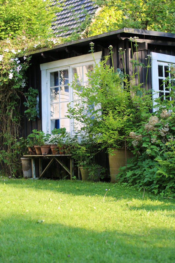 mette-krull-shed-1-gardenista