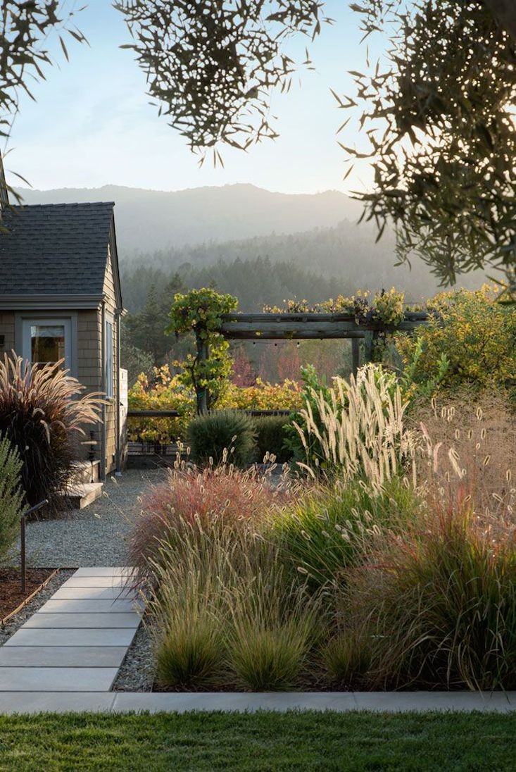 perennial-grasses-poudolf-landscape-napa-gardenista