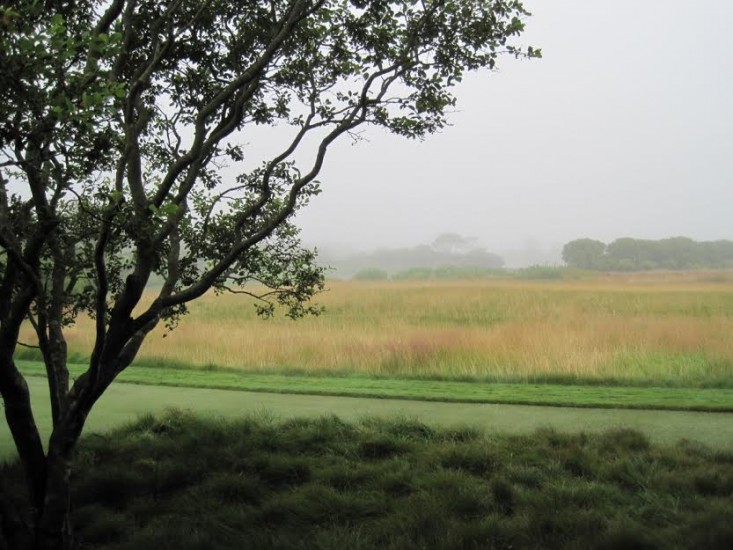 sagaponack-garden-norman-jaffe-laguardia-mist-meadow-grasses-gardenista