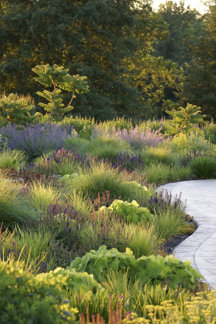 Adam-Woodruff-Finalist-Gardenista-Considered-Design-Awards-4