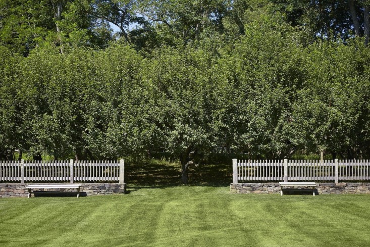 scott-mitchell-bridgehampton-landscape-garden-orchard-picket-fence-gardenista