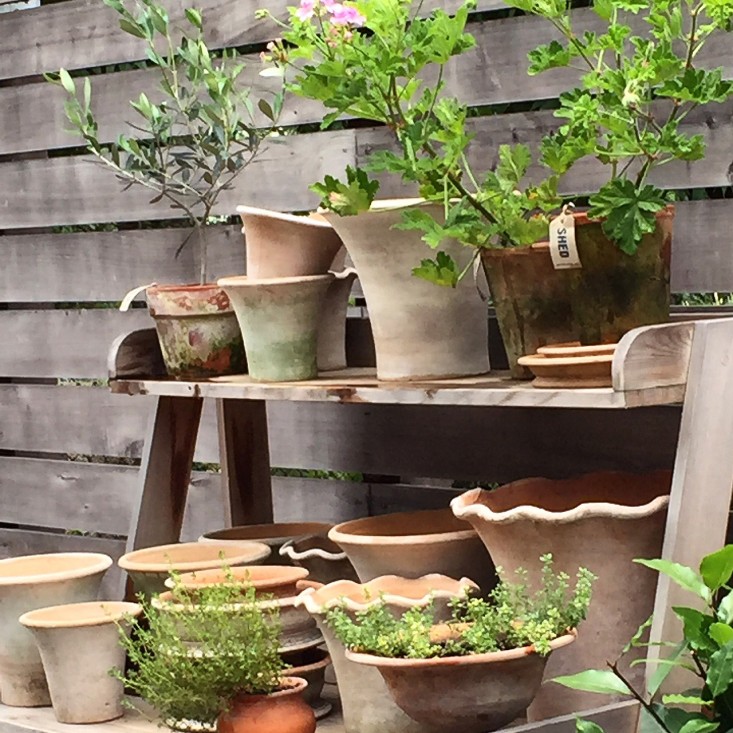 healdsburg-shed-potting-table-gardenista copy