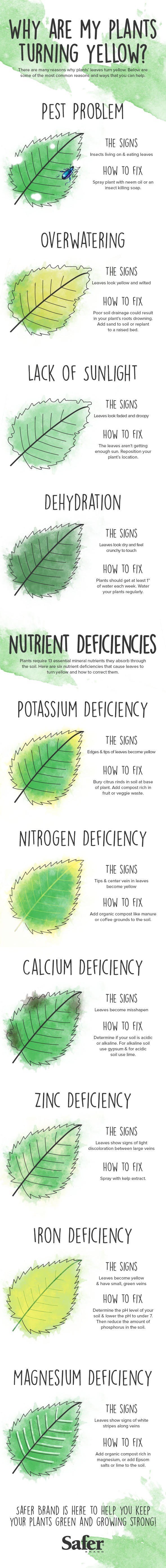 Garden cheat sheets-5