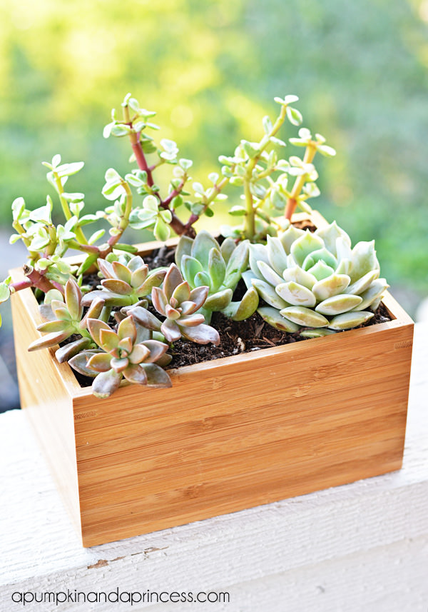 Ikea planter hacks-4