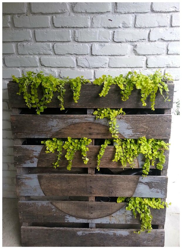 Modern pallet planter