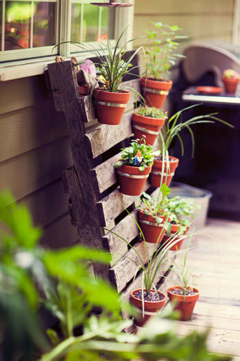 Pallet planter