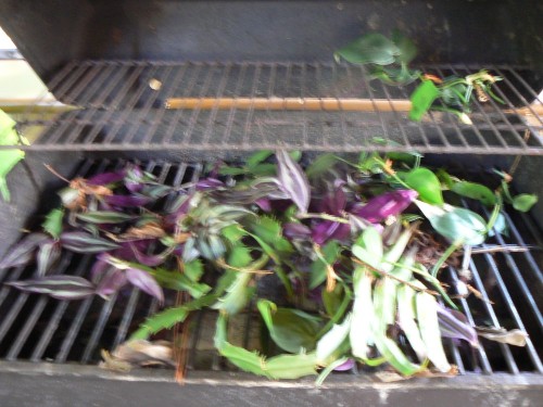 woodrat nest in grill