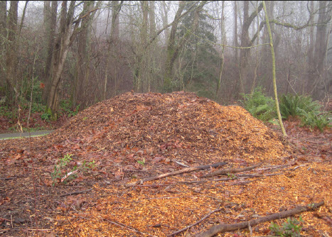 wood chip mulch Linda Chalker-Scott